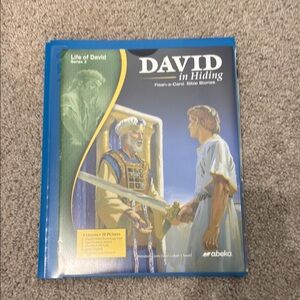 Abeka David in Hiding Flash-a-Card Bible Stories